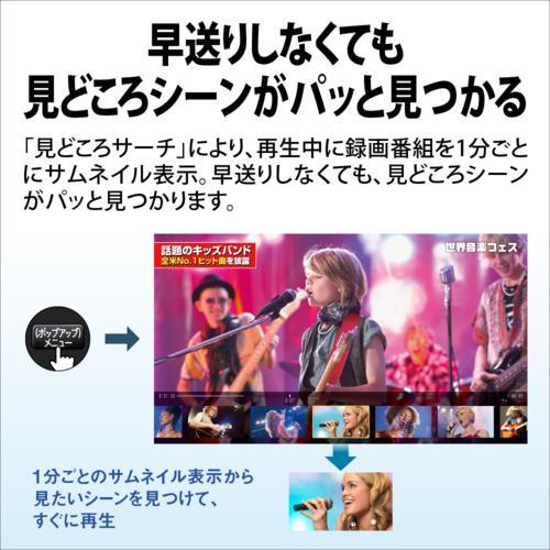 シャープ(SHARP) 2B-C20GT1 AQUOS アクオス ブルーレイディスクレコーダー 3チューナー 2TB_7