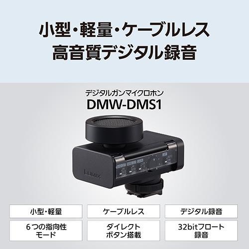 パナソニック(Panasonic) DMW-DMS1 デジタルガンマイクロホン ケーブル