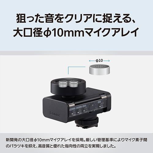 パナソニック(Panasonic) DMW-DMS1 デジタルガンマイクロホン ケーブル