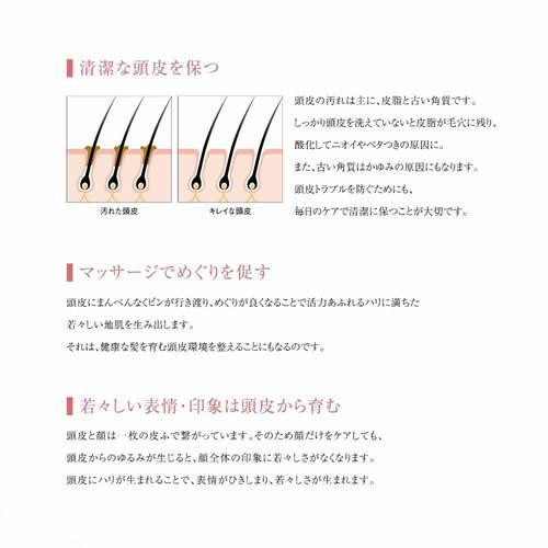 エックスワン(X-one) XLUXES エグゼティシャン スカルプブラシ 2段植毛 頭皮ケア ヘアケア 血行促進_2