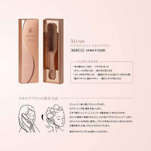 エックスワン(X-one) XLUXES エグゼティシャン スカルプブラシ 2段植毛 頭皮ケア ヘアケア 血行促進_4