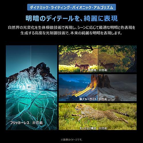 TCL(ティーシーエル) 43T6D 43V型 4K 量子ドットQLED液晶テレビ Google