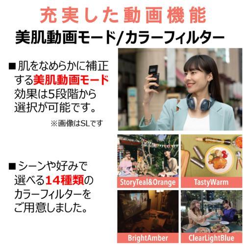 【長期5年保証付】CANON(キヤノン) PowerShot V10 トライポッドグリップキット_3