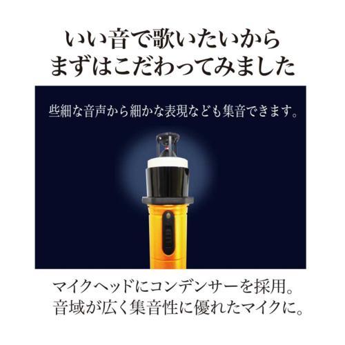 【長期保証付】PENTATONIC(ペンタトニック) カラオケマイマイク Pro GTM-200 ステラブルー_4