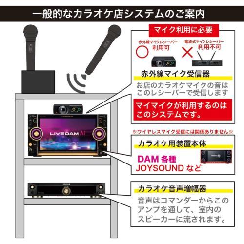 【長期保証付】PENTATONIC(ペンタトニック) カラオケマイマイク GTM-150 シャインゴールド_10