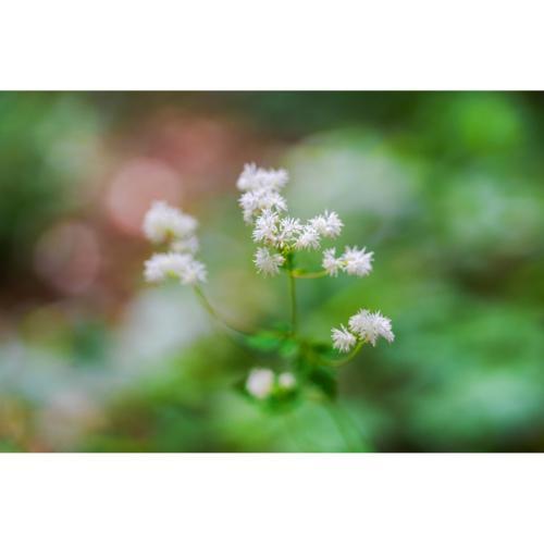 【長期保証付】シグマ(SIGMA) 28-105mm F2.8 DG DN Art ライカLマウント フルサイズ 標準ズームレンズ_4