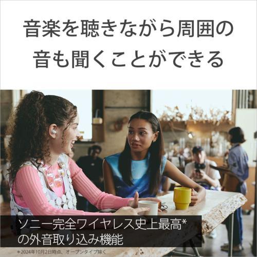 【長期保証付】ソニー(SONY) WF-LS910N-BZ ブラック LinkBuds Fit 完全ワイヤレスイヤホン Bluetooth5.3_3