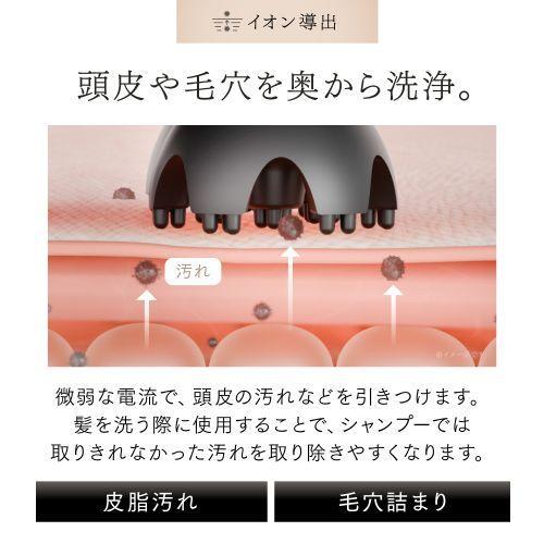 長期保証付】マイトレックス(MYTREX) MT-HSDX-24-B-B ブラック MYTREX