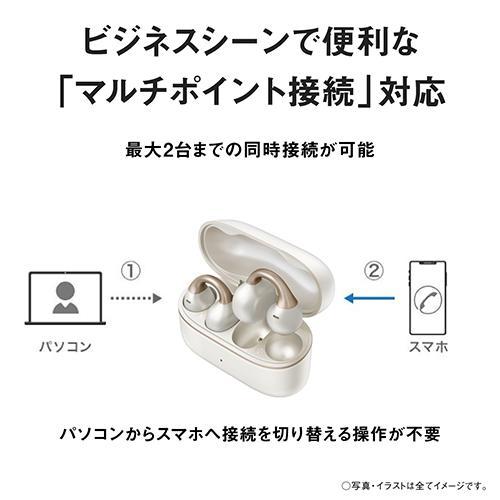 長期保証付】パナソニック(Panasonic) RB-C10-W ホワイトパール 完全