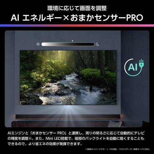 【標準設置料金込】ハイセンス(Hisense) 100YR8U 100V型 4K MiniLED液晶テレビの画像
