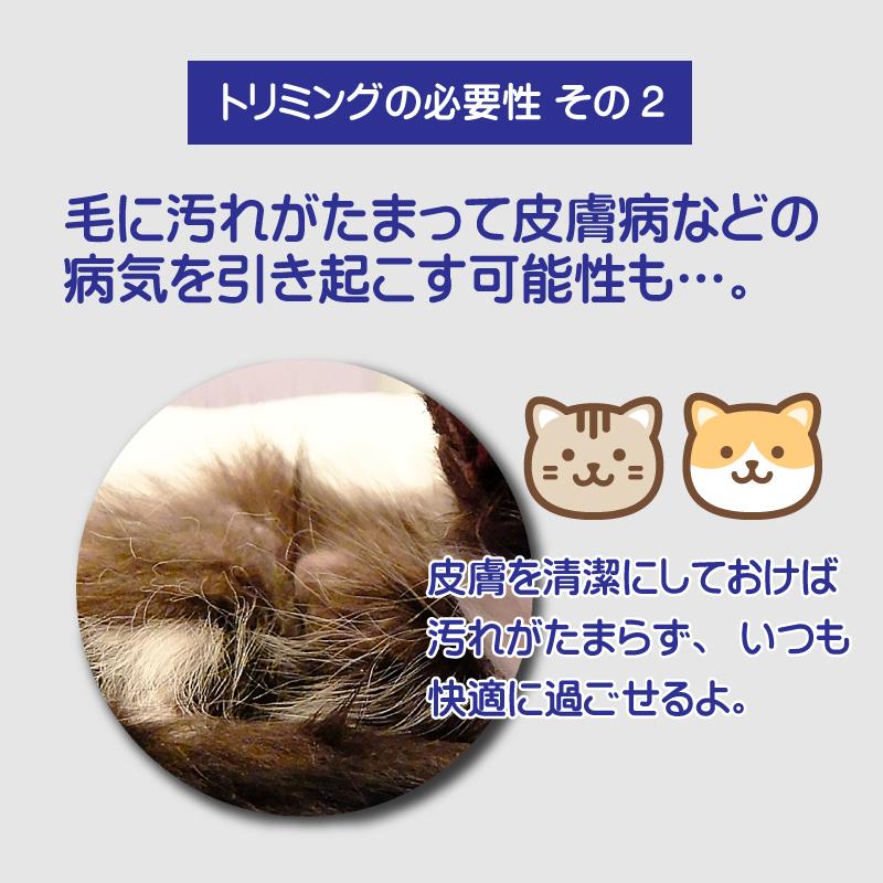 バリカン 犬用 ペット用 USB 充電式 電動 散髪 足裏 プロ 仕様  軽量 静音 セルフカット トリミング トリマー コードレス 犬 猫 ペット用品 自宅 お手入れ | ブランド登録なし | 06