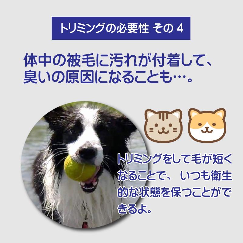 バリカン 犬用 ペット用 USB 充電式 電動 散髪 足裏 プロ 仕様 軽量