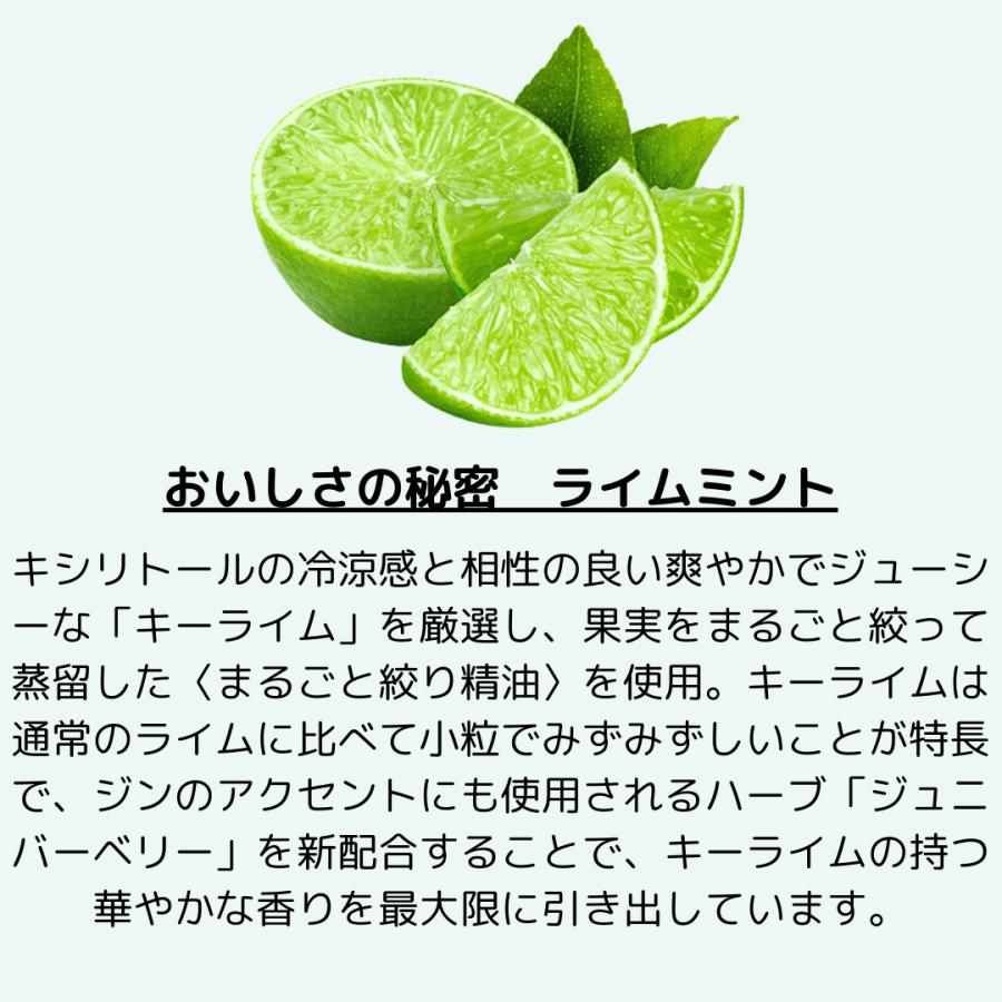 ロッテ（LOTTE） キシリトール ガム 6個 セット ライムミント 7種