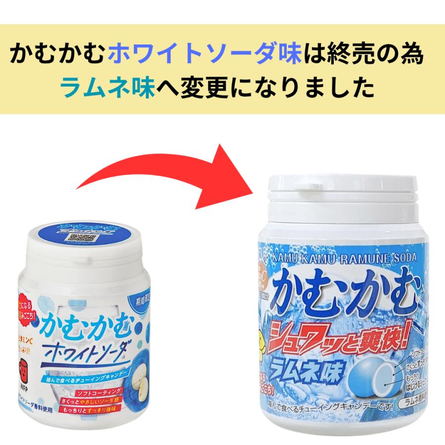 かむかむシリーズ 三菱食品 かむかむ □賞味期限2027.1□ マスカット