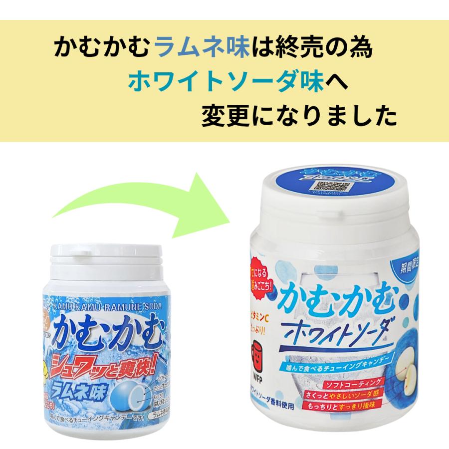 かむかむシリーズ 三菱食品 かむかむ □賞味期限2026.6□ シャイン