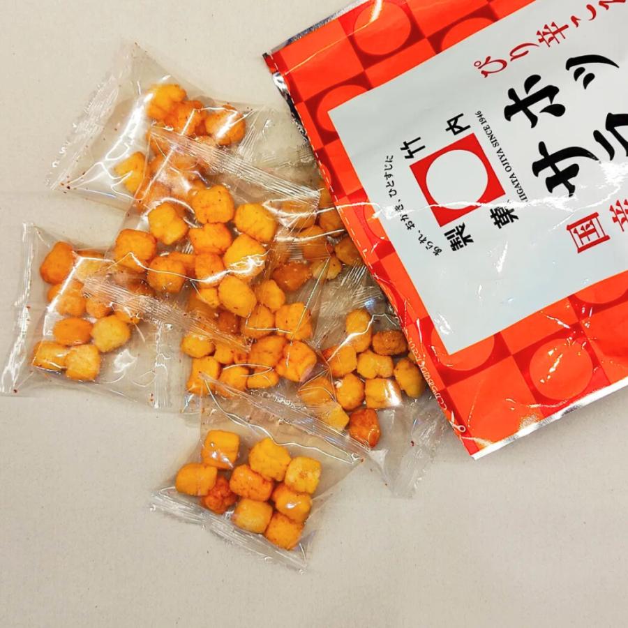 竹内製菓 ホットサラダ 1袋 54g 2袋セット まとめ買い お煎餅 煎餅