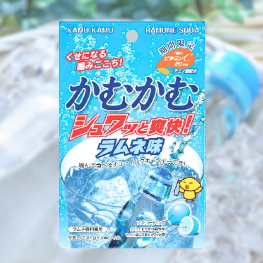 かむかむシリーズ かむかむレモン パウチ 4種 各5個 計20個セット