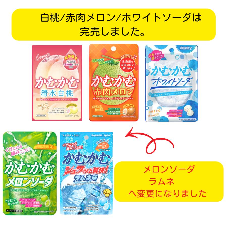 かむかむシリーズ かむかむレモン パウチ 4種 各5個 計20個セット