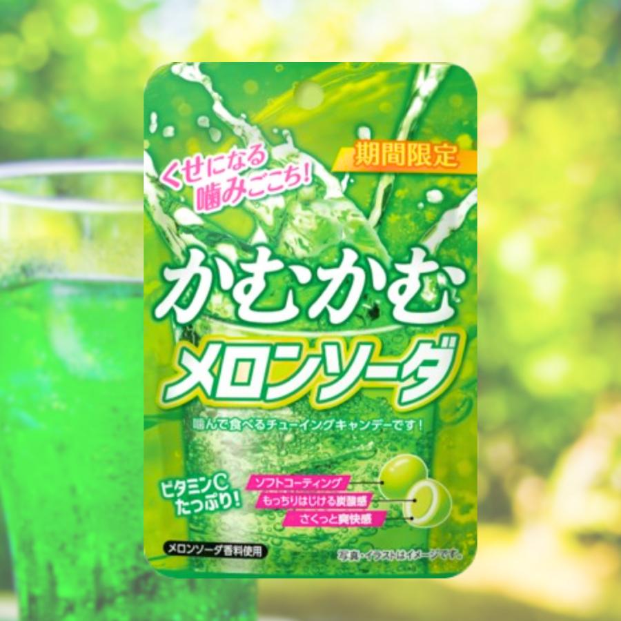 かむかむシリーズ かむかむレモン パウチ 4種 各5個 計20個セット