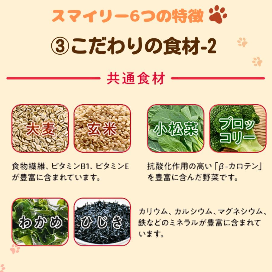 スマイリー 国産 チキン チキンデリ 5kg ドッグフード 無添加 犬 デリ
