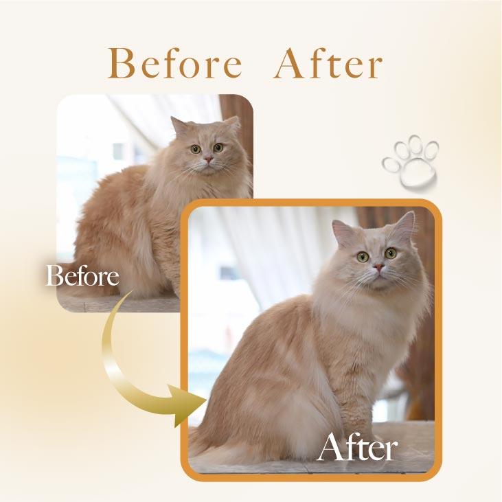 mofuwa 猫 ブラシ グルーミング ウォーター 300ml ブラッシング 短毛