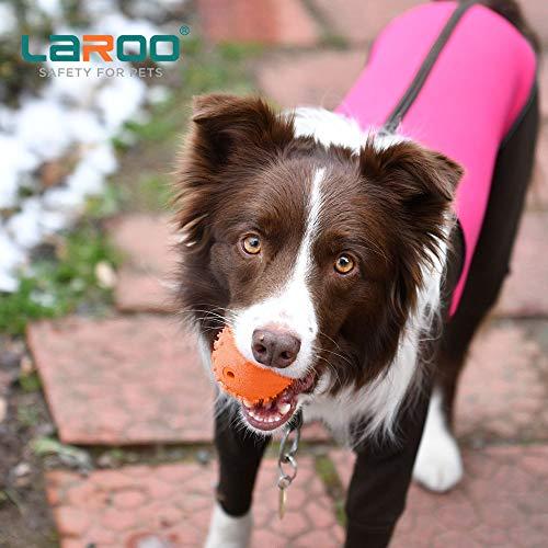 LaRoo犬おもちゃ、音が出る音が鳴る玩具、噛むおもちゃ、天然ラバ歯磨き、耐久性のある、投げる｜onetoday｜02