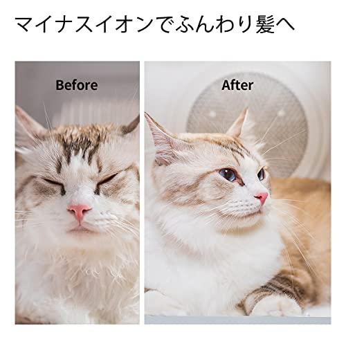 PETKIT ドライヤーハウス 猫 小型犬用 ドライルーム スマホ管理 専用APP IOS/Android対応 日本語説明書付き 毛が飛び散らない 多｜onetoday｜07