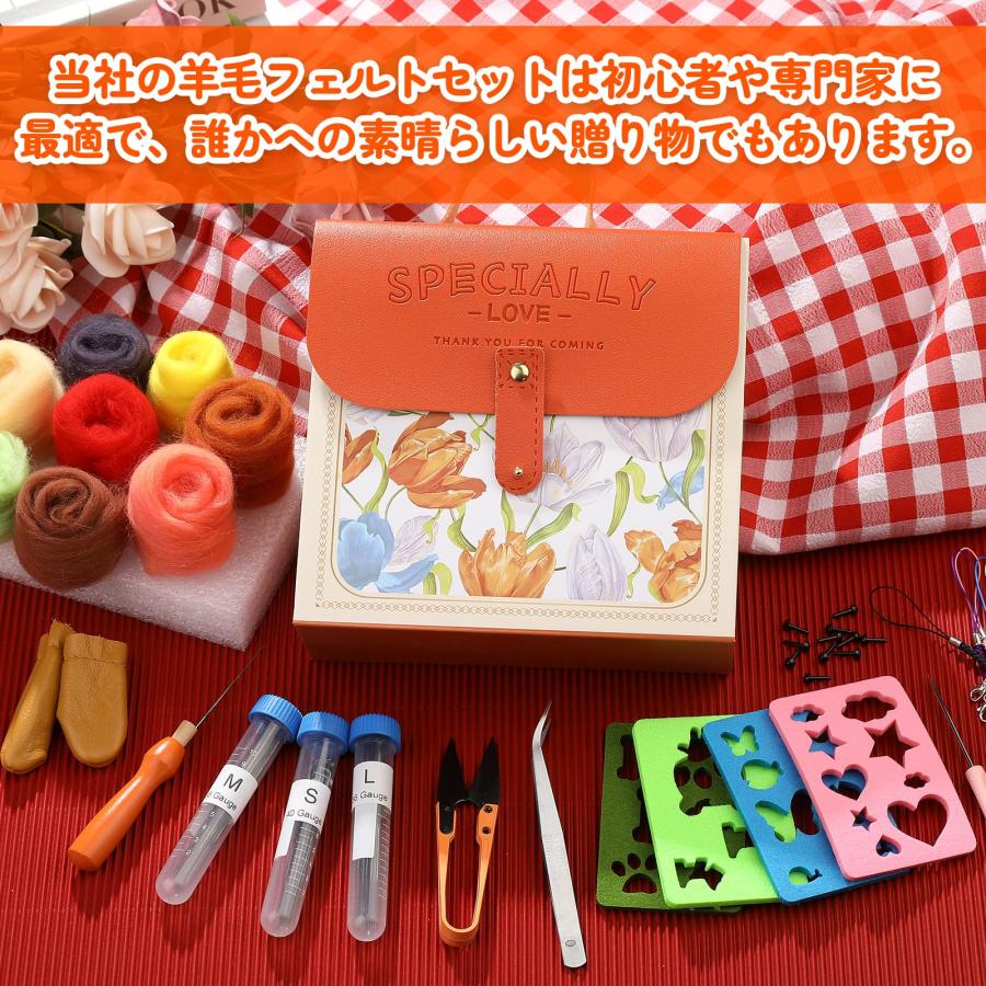 RMTIME羊毛フェルト ウールフェルト キット 、羊毛粗糸20色セット羊毛工具入門キット金型携帯用収納ケース付きDIY工芸ホーム装飾 |  | 05