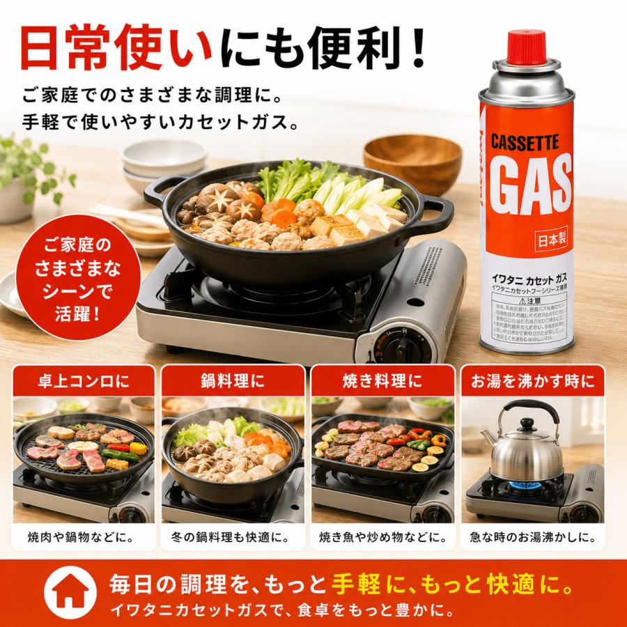 イワタニ ガスボンベ 12本 カセットガス CB-250-OR-12 岩谷産業 Iwatani 12本組 セット まとめ買い 防災 備蓄 停電 台風 対策 キャンプ アウトドア 卓上コンロ | Iwatani | 04