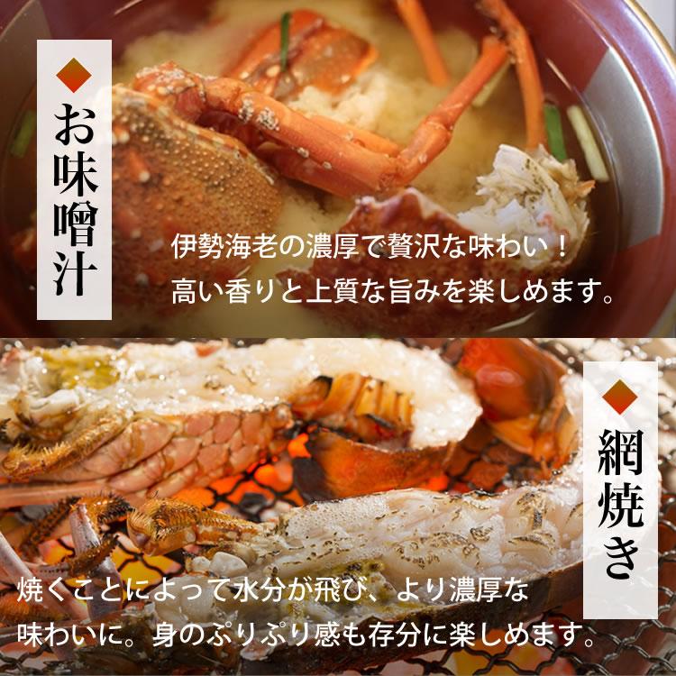 伊勢海老 三重県 伊勢志摩産 《約1kg 3尾（1尾約300g〜400g）》 活き