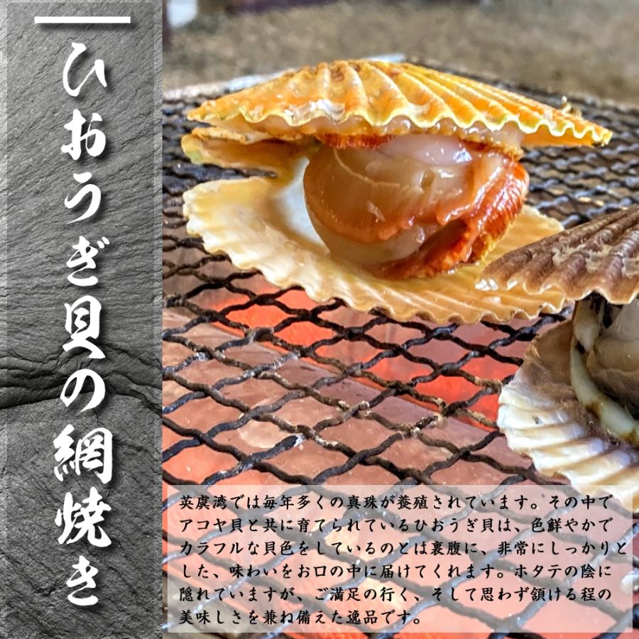 ひおうぎ貝 ヒオウギ貝 活 バタ貝 《30個セット》 伊勢志摩産 産地直送