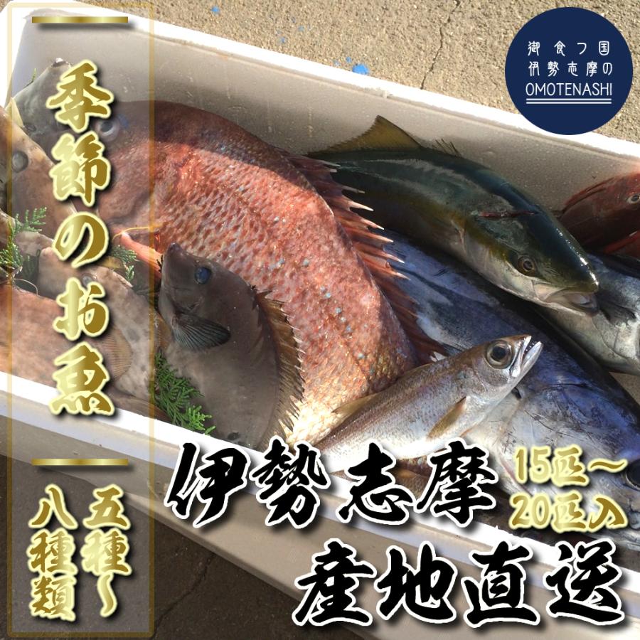 季節のおまかせ 本日の水揚げ魚セット 15匹〜20匹 鮮魚 季節の魚 伊勢志摩産 産地直送 伊勢志摩直送 約5種類〜8種類 お楽しみ BBQ バーべキュー ギフト 送料無料