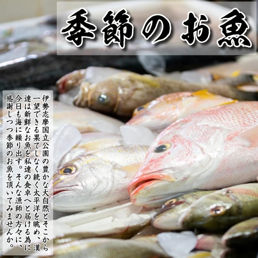 季節のおまかせ 本日の水揚げ魚セット 15匹〜20匹 鮮魚 季節の魚 伊勢志摩産 産地直送 伊勢志摩直送 約5種類〜8種類 お楽しみ BBQ バーべキュー ギフト 送料無料｜oneupx｜03