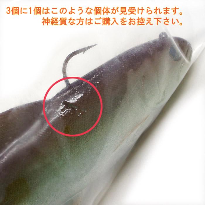 ハドルストン ハドルトラウト 8インチ ROF-5 背針タイプ ＃ファントム