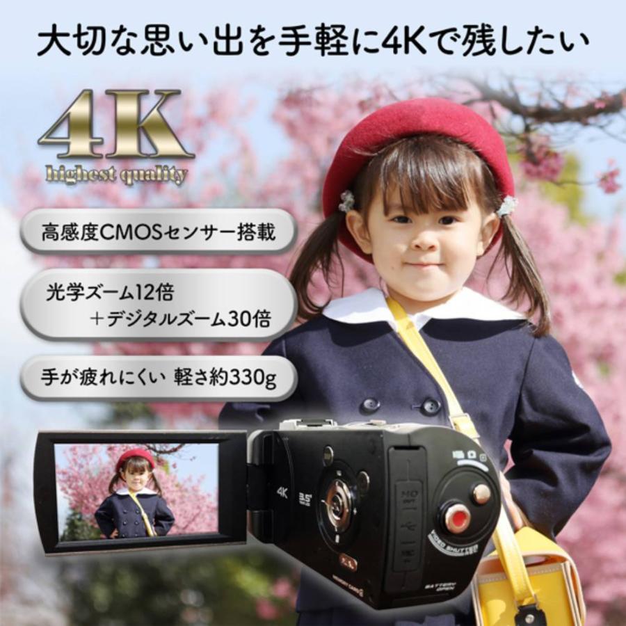 KEIYO(慶洋エンジニアリング) 4Kコンパクトビデオカメラ AN-S101