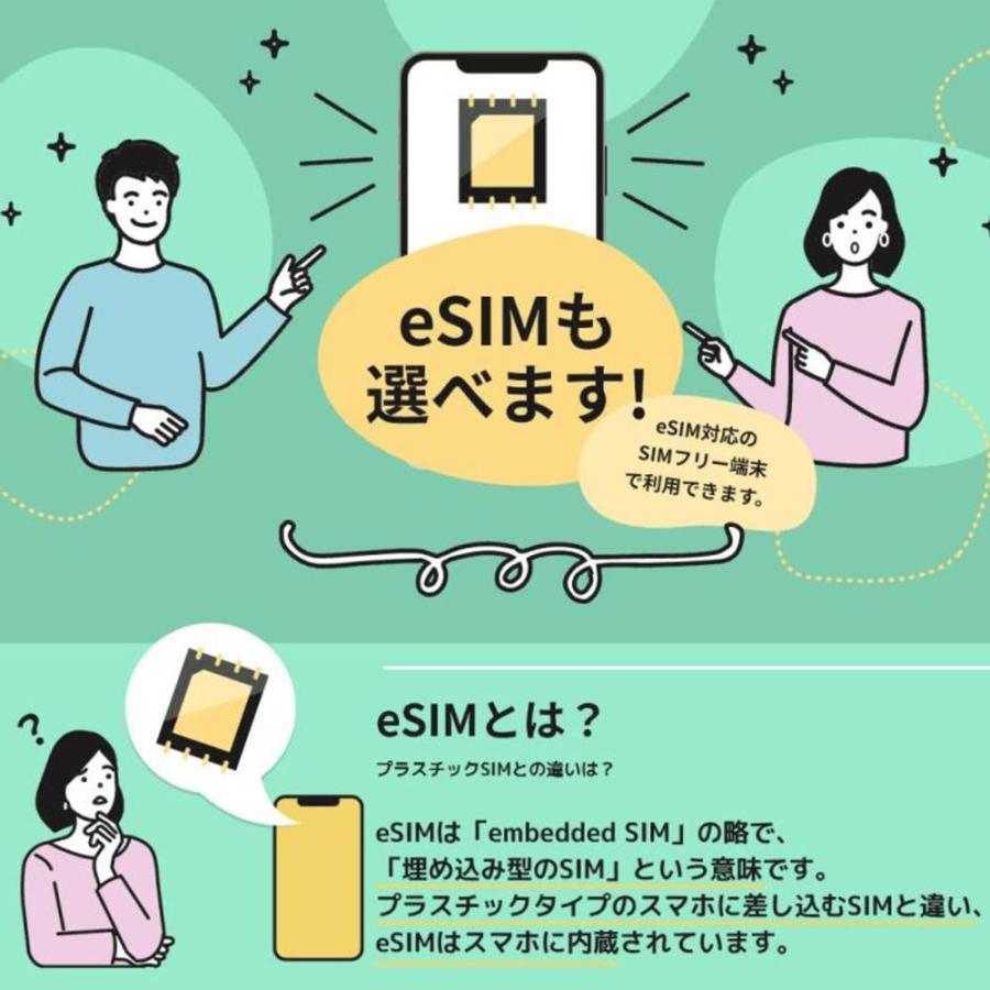 ※申込有効期限：2024年8月末日まで 日本通信SIM スターターパック  NT-ST2-P【メール便送料無料_あすつく対応外】｜onhome｜11