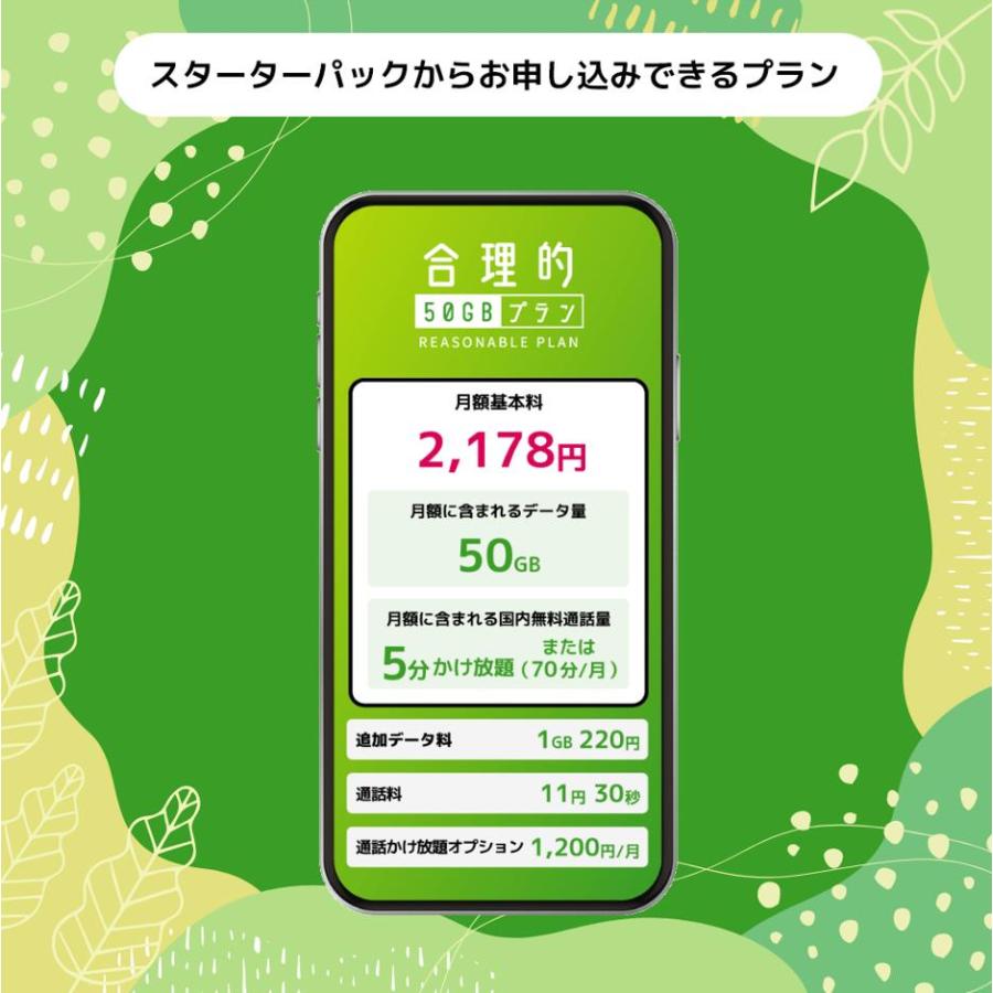 申込有効期限：2026年12月末日まで 日本通信SIM スターターパック NT