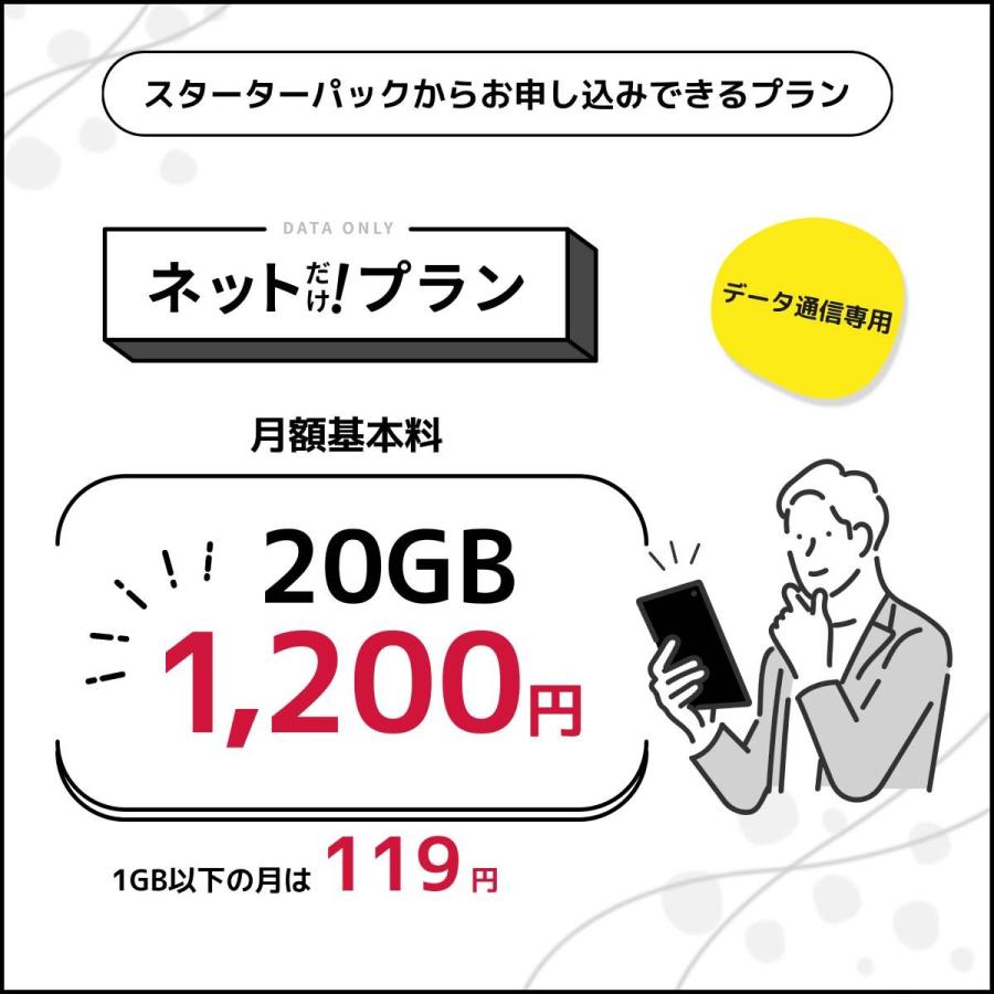 申込有効期限：2026年12月末日まで 日本通信SIM スターターパック NT