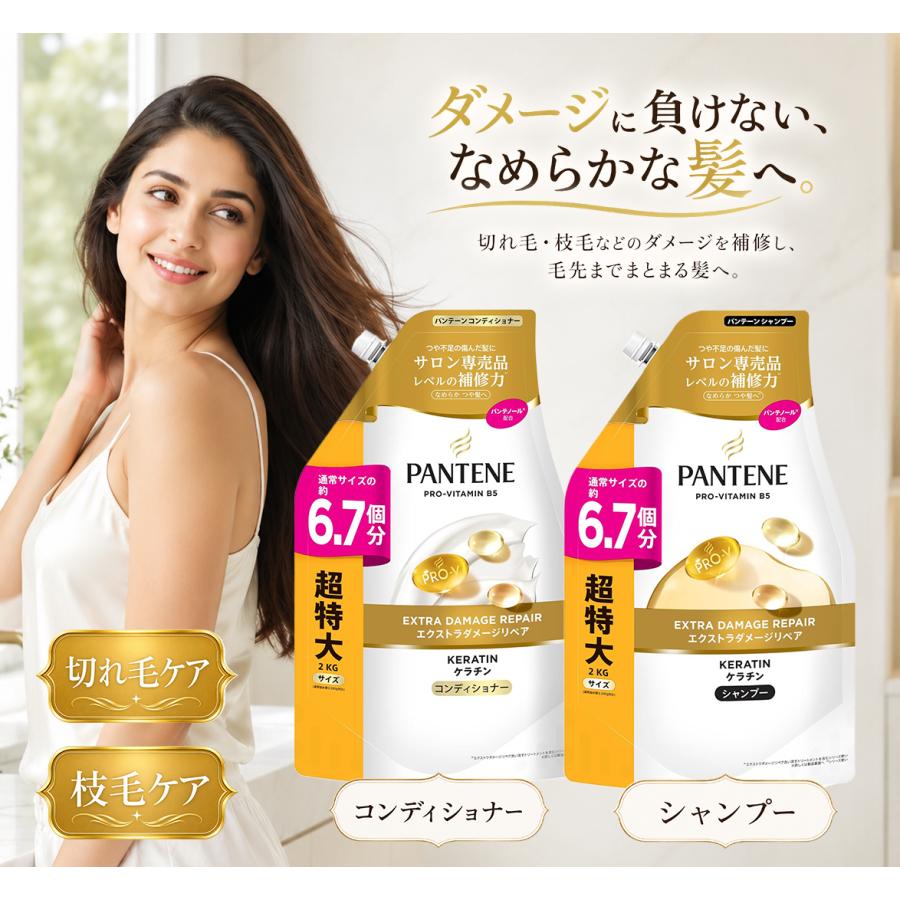 パンテーン エクストラダメージリペア シャンプー&コンディショナー 詰