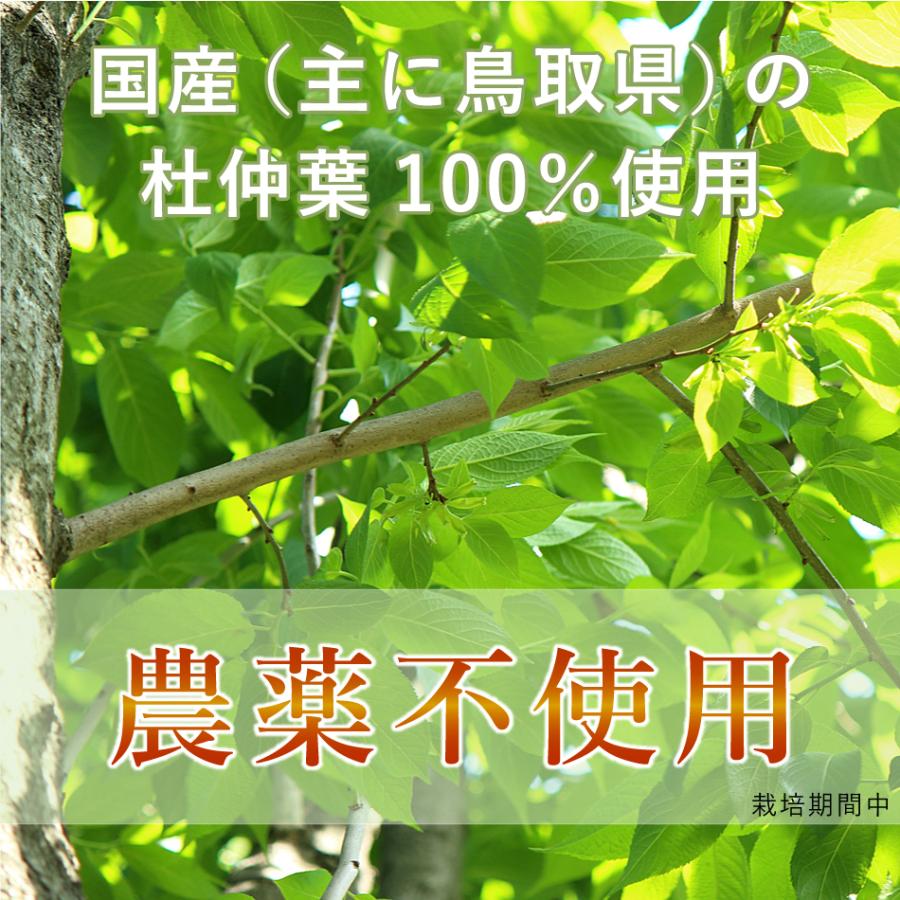 杜仲茶 国産 【無農薬】 とちゅう茶 ティーバッグ（3g×30包）1袋