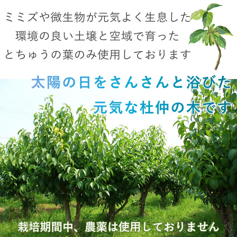 小動物用品 杜仲 樹皮枝 無農薬 無除草剤 無添加物 安全 ペット用品