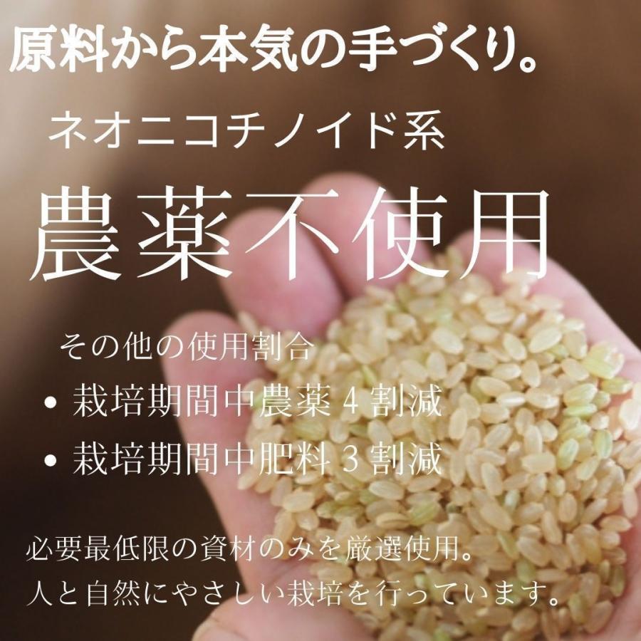 ぬか 糠 生ぬか 米ぬか 減農薬 ミルキークイーン 食べる 500g 肥料 ぬか床 足しぬか 三重県産 送料無料 レシピ付き メール便 ポイント消化 N500 ミルキークイーン お米のおんじや 通販 Yahoo ショッピング
