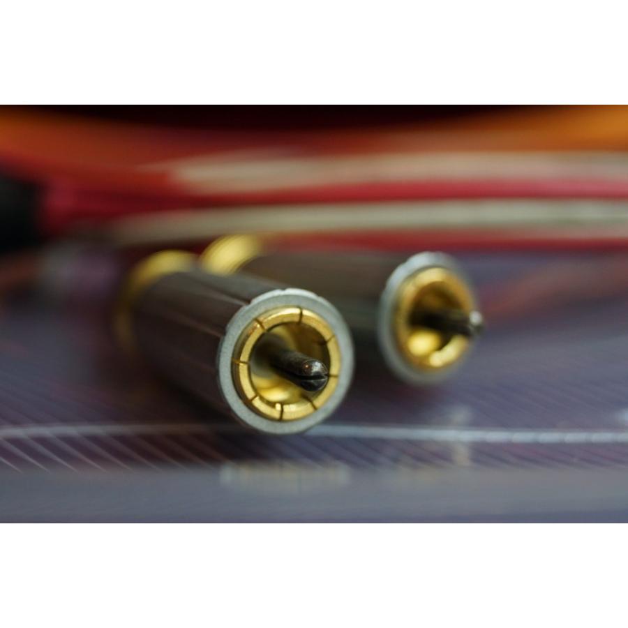 シャークワイヤー　SHARKWIRE SG06E2 RCA ケーブル SHARKWIRE（シャークワイヤー）RCAプラグT16-SN/T17-SN（ネジ止めタイプ）