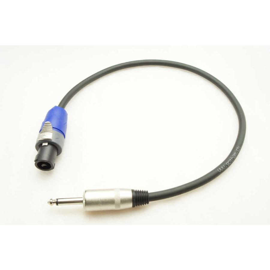 ゴッサム(Gotham)SPK 2 x 2.5mm スピーカーケーブル(スピコン-フォン) 20m