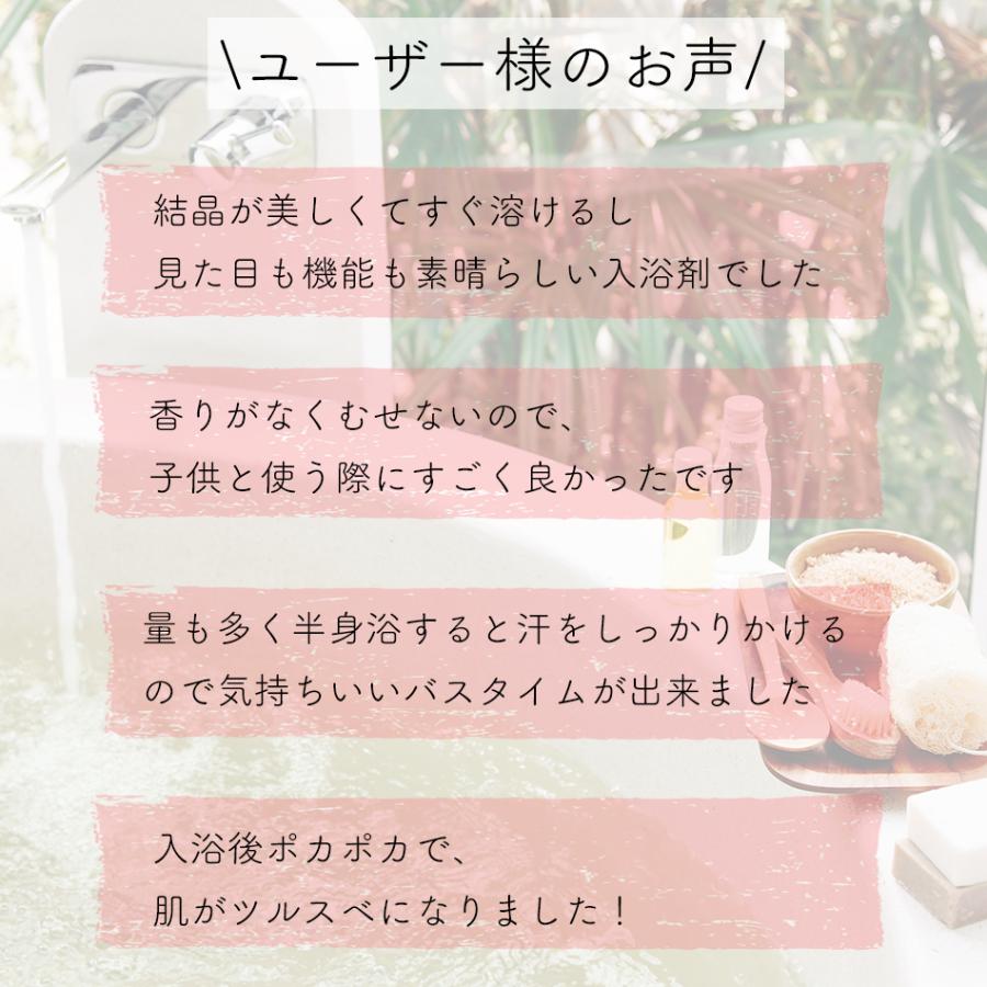 EPSOPIA（エプソピア） バスソルト 追い焚きできる 入浴剤 10個セット