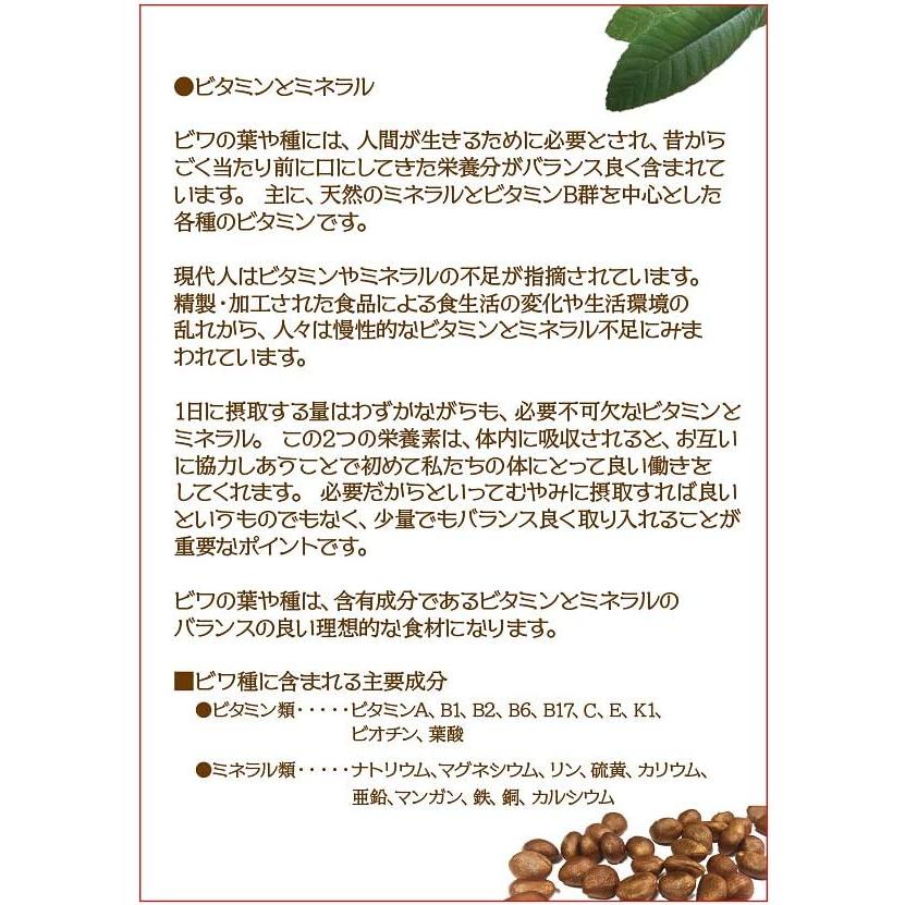 枇杷種粉末 100g×1個  国内産原料100%使用 エスエフシー 正規品 枇杷 粉末 アミグダリン びわ ビワ｜online-kajima｜06