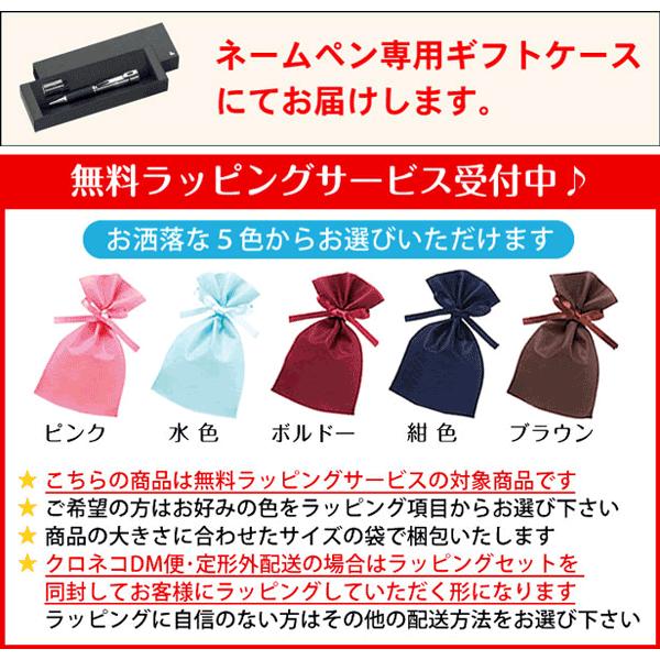 シヤチハタ（Shachihata） シャチハタ ネームペン キャップレスS 既