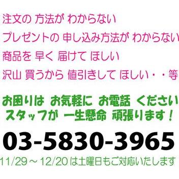 イルミネーション ＬＥＤ 防水 屋外用 金 100球 ベ金球　クリスマス｜online-pac｜05