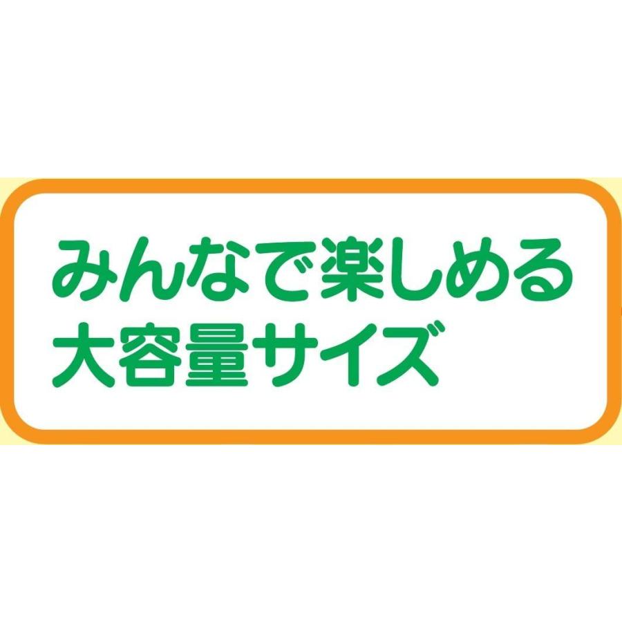 カルビー ポテトチップス 【大注目】 ビッグバック コンソメパンチ 12袋 × 170g