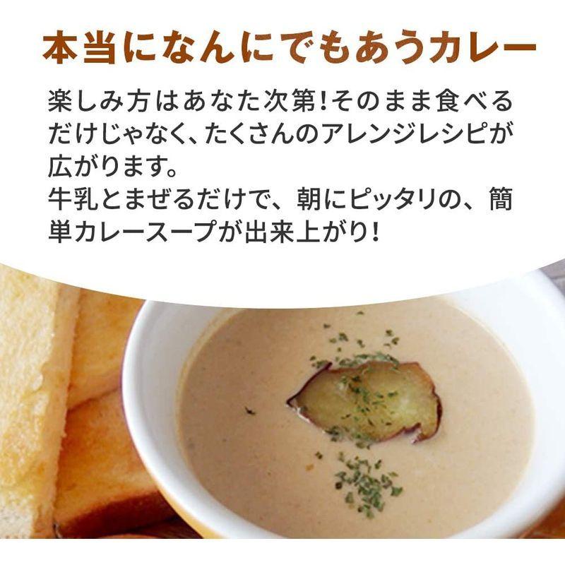 ほぼ未使用 五島の鯛で出汁をとったなんにでもあうカレー ビーフ（30袋） 【W1847927394】(10555円)